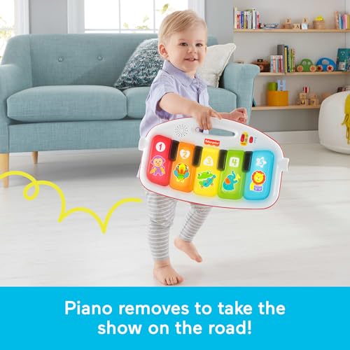 Baby Playmat Deluxe Kick & Play Piano Gym for Learning & 2 Maracas Soft Rattles for Newborn to Toddler Play Ages 0+ Months