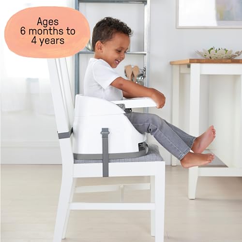 Baby Base 2-in-1 Booster Feeding and Floor Seat with Self-Storing Tray - Slate