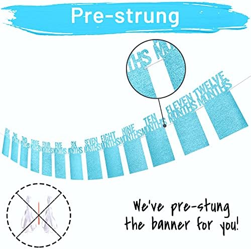1st Birthday Photo Banner for Baby from Newborn to 12 Months, First Birthday Decorations for Boys Monthly Milestones Garland | First Photo Banner Pre-strung with Frame (Blue)