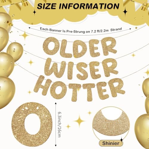 Set of 3 Pre Strung Older Wiser Hotter Glitter Banner Funny Birthday Banner for Women 30th 40th 50th 60th 70th 80th Birthday Party Decorations Sign Gift(Champaign Gold)