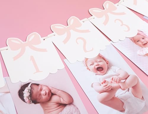 12 Month Bow Photo Banner - Milestone Bow Banner, Newborn To 12 Months, 1st Birthday Photo Banner For Baby From Newborn To 12 Months