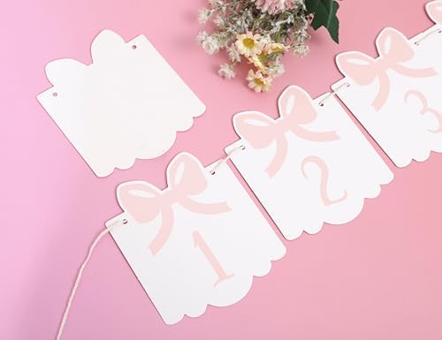 12 Month Bow Photo Banner - Milestone Bow Banner, Newborn To 12 Months, 1st Birthday Photo Banner For Baby From Newborn To 12 Months