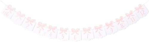 12 Month Bow Photo Banner - Milestone Bow Banner, Newborn To 12 Months, 1st Birthday Photo Banner For Baby From Newborn To 12 Months