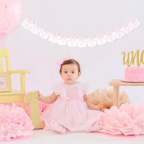 12 Month Bow Photo Banner - Milestone Bow Banner, Newborn To 12 Months, 1st Birthday Photo Banner For Baby From Newborn To 12 Months