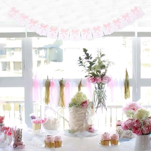12 Month Bow Photo Banner - Milestone Bow Banner, Newborn To 12 Months, 1st Birthday Photo Banner For Baby From Newborn To 12 Months