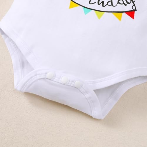 Baby Boy Funny First Birthday Clothes Infant Clothes Bow Tie Dinosaur Themed Romper Pants Set Suspenders