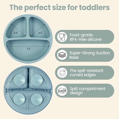 2 Pack Baby Plates with Suction, 2 Pack Silicone Forks and Spoons Set, Baby Led Weaning Supplies, BPA Free, Toddler Utensils for Feeding Essentials
