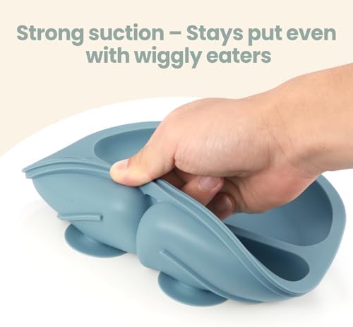 2 Pack Baby Plates with Suction, 2 Pack Silicone Forks and Spoons Set, Baby Led Weaning Supplies, BPA Free, Toddler Utensils for Feeding Essentials