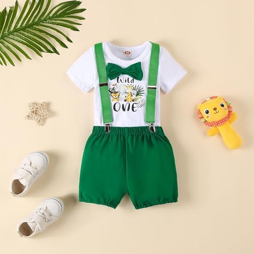 Baby Boy Funny First Birthday Clothes Infant Clothes Bow Tie Dinosaur Themed Romper Pants Set Suspenders