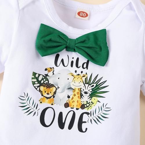 Baby Boy Funny First Birthday Clothes Infant Clothes Bow Tie Dinosaur Themed Romper Pants Set Suspenders