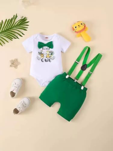 Baby Boy Funny First Birthday Clothes Infant Clothes Bow Tie Dinosaur Themed Romper Pants Set Suspenders