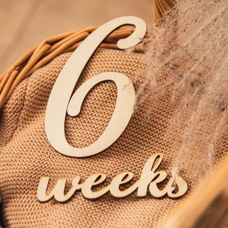 20PCS Wooden Baby Milestone Cards Set – Pregnancy & Baby Growth Milestone Markers – Reversible Monthly Milestone Discs – Newborn Photography Props & Baby Shower Gift