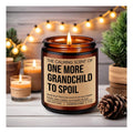 One More Grandchild Candle, Pregnancy Announcement for Grandparents, Baby Announcements Ideas, Pregnancy Reveal to Parents, Funny 2nd, Second Baby, Grandparents Again Gifts for Grandma Grandpa