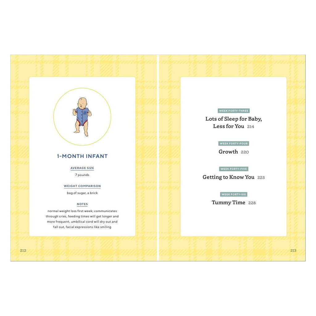 We're Pregnant! The First Time Dad's Pregnancy Handbook