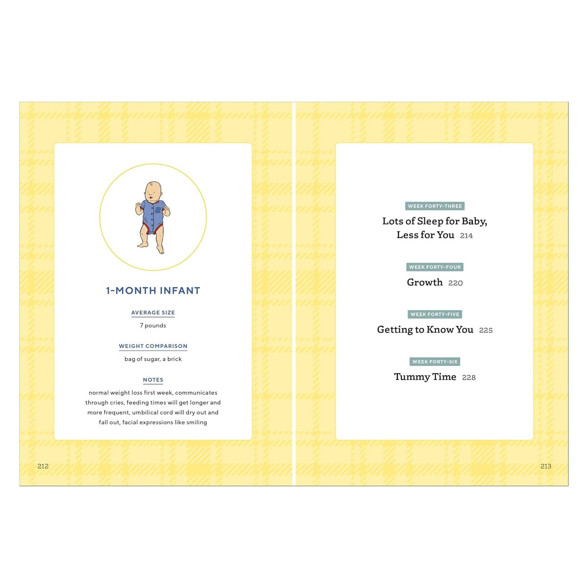 We're Pregnant! The First Time Dad's Pregnancy Handbook