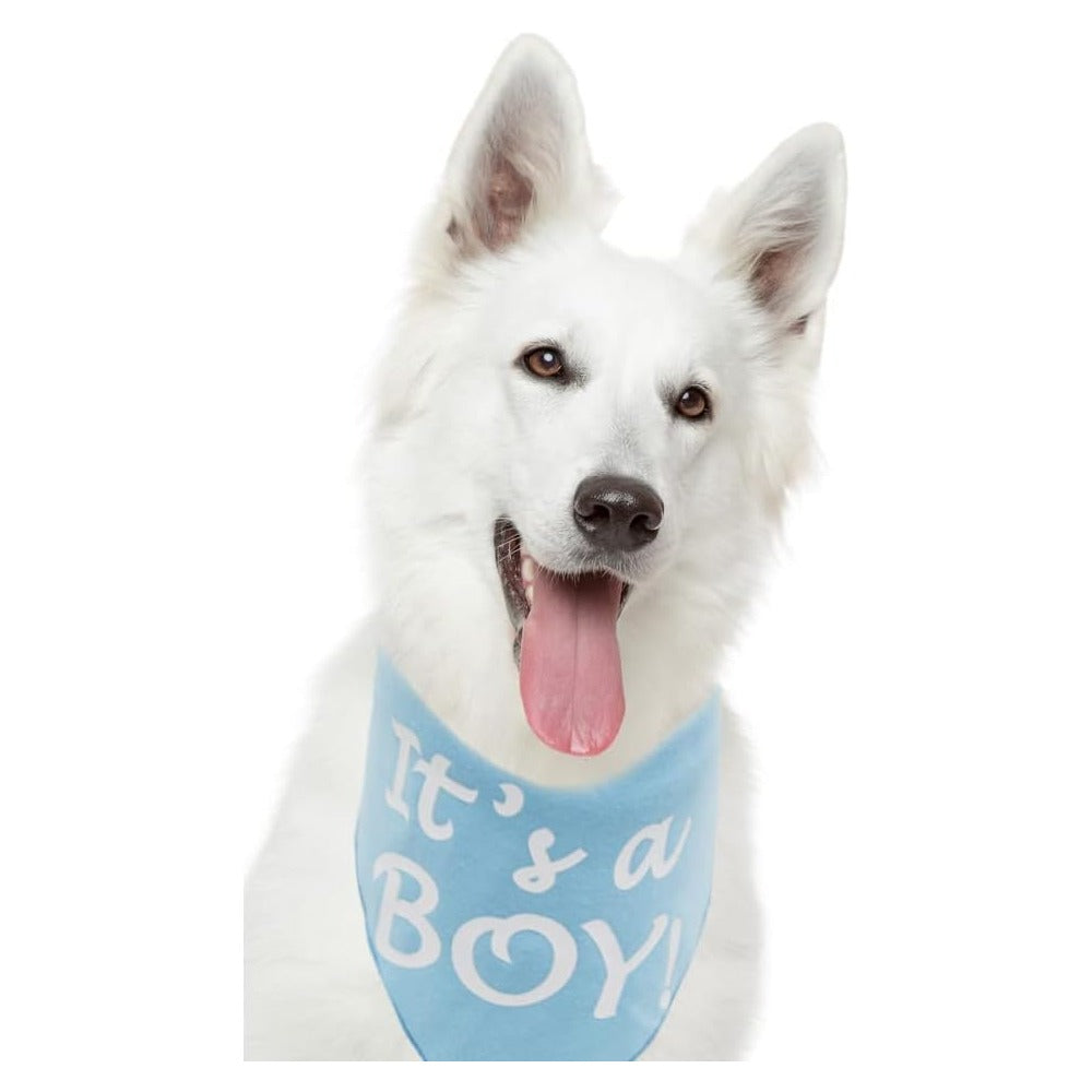 It’s a Boy or It’s a Girl Dog Bandana Pregnancy Announcement Dog Bandana Baby Announcement Triangle Pet Scarf Scarves Gender Reveal Photo Prop