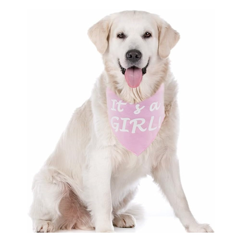 It’s a Boy or It’s a Girl Dog Bandana Pregnancy Announcement Dog Bandana Baby Announcement Triangle Pet Scarf Scarves Gender Reveal Photo Prop