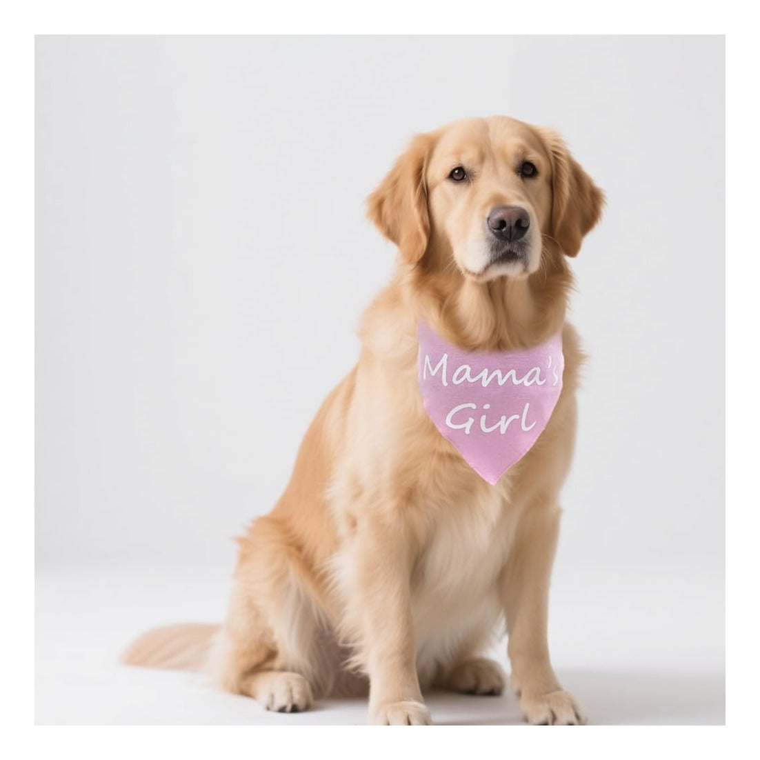 2 Pack Mother's Day Dog Bandana - Mom’s Boy & Girl Gender Reveal Pets Bandana Reversible Triangle Dogs Scarf Photo Prop Blue and Pink