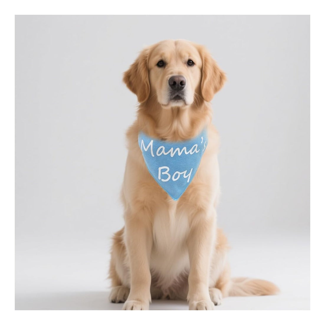2 Pack Mother's Day Dog Bandana - Mom’s Boy & Girl Gender Reveal Pets Bandana Reversible Triangle Dogs Scarf Photo Prop Blue and Pink