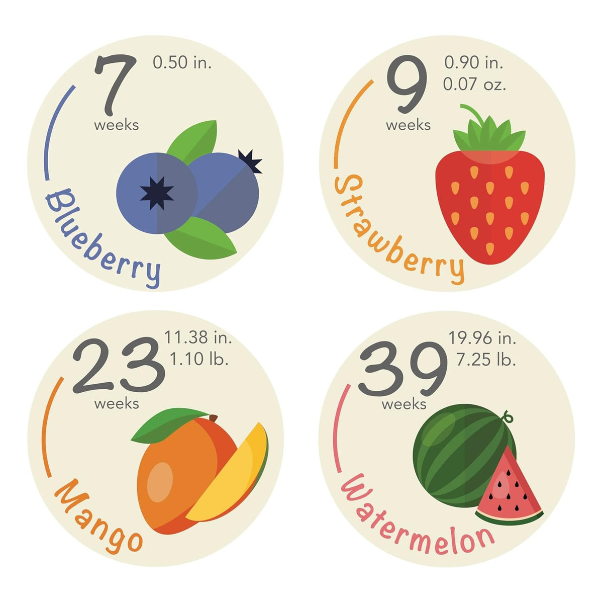 Bump Stickers - 40 Weekly Pregnancy Tracking Stickers – Week 5 to 40 + 4 Bonus – Pregnancy Photo Prop – Fruit 3.93 Inch