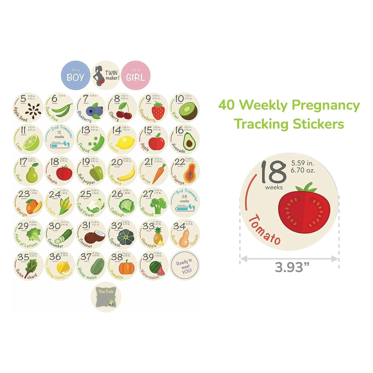 Bump Stickers - 40 Weekly Pregnancy Tracking Stickers – Week 5 to 40 + 4 Bonus – Pregnancy Photo Prop – Fruit 3.93 Inch