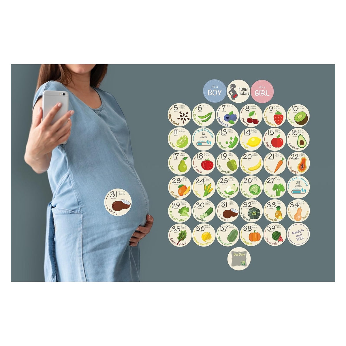 Bump Stickers - 40 Weekly Pregnancy Tracking Stickers – Week 5 to 40 + 4 Bonus – Pregnancy Photo Prop – Fruit 3.93 Inch