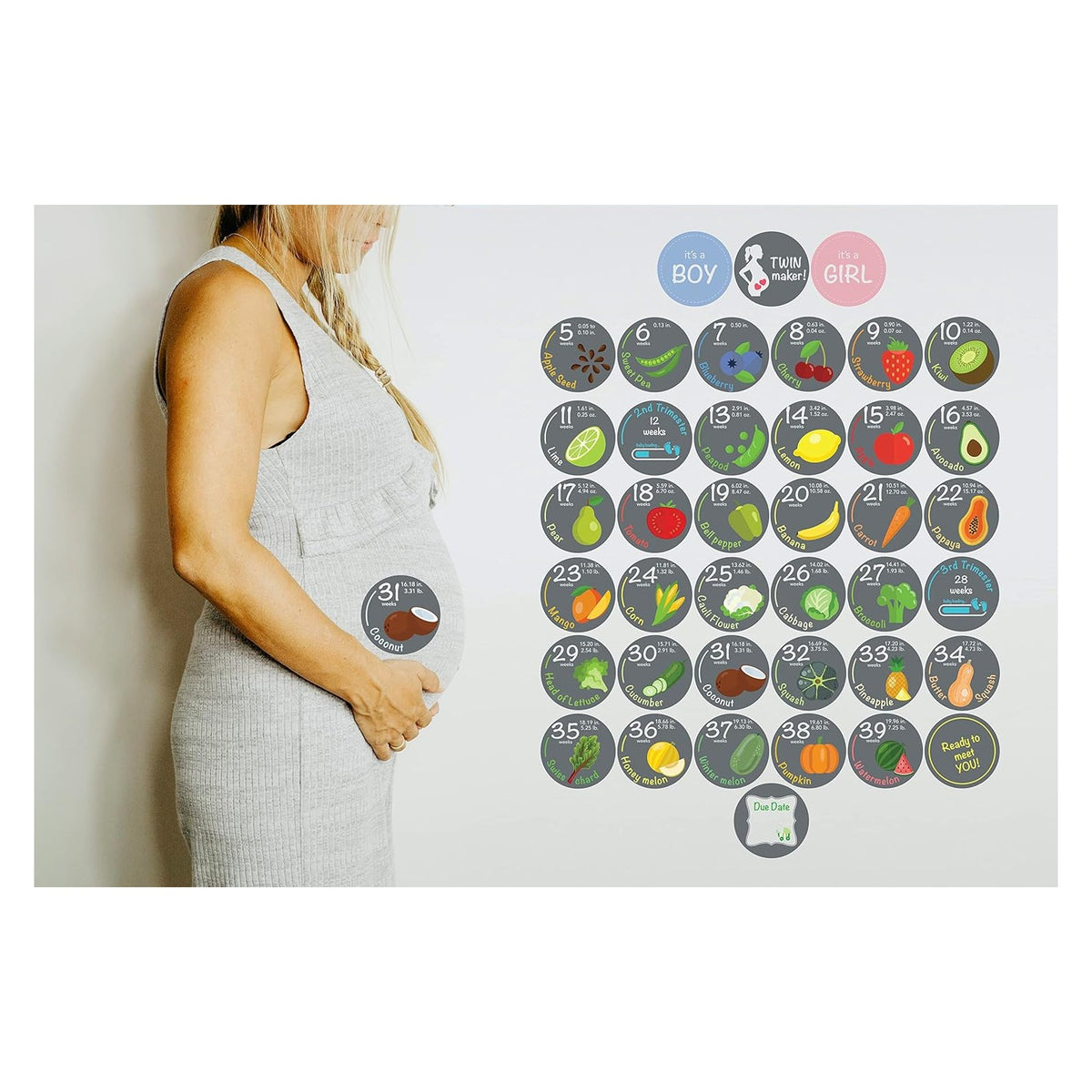 Stickers - 40 Weekly Pregnancy Tracking Stickers – Week 5 to 40 + 4 Bonus – Pregnancy Photo Prop – Fruit 3.93 Inch