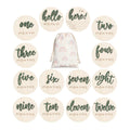 7 Pack 3D Baby Monthly Milestone Card Signs Baby Announcement Sign Double Sided Hello World Newborn Signs Wooden Circles Discs for Welcome Newborn Boy Girl Photo Props
