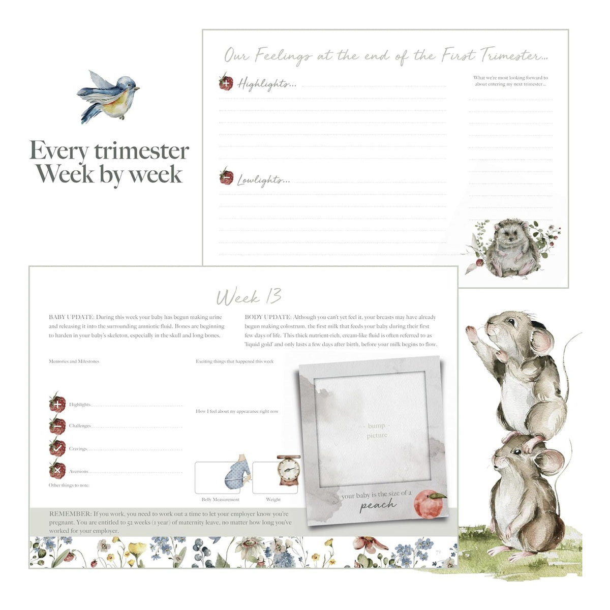 Pregnancy Journal – Weekly Pregnancy Planner & Scrapbook, Ultrasound Photo Pages, Milestone Trackers & First‑Year Keepsake Book - Pregnant Gifts For New Mom