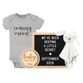 Baby Coming Soon Announcement Ideas, Surprise Pregnancy Reveal To Family Grandparents Grandma Dad- Baby Shower Gender Reveal Gifts- Felt Letter Board, Wooden Sign, Onesie, Security Blanket